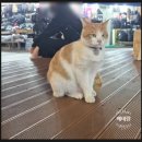 이천돌솥밥 | [이천 돌솥밥집 솔직후기💛] 17,000원에 갈비찜+게장+솥밥까지?! 가성비 한정식 끝판왕”