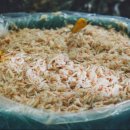 광천토굴새우젓 홍보전시관 이미지