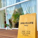 포레스타스프링