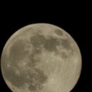 셉템버나인 커피로스터 | 11월.