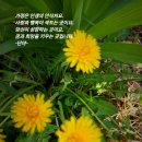 도전하는사람들