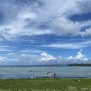 하도포시즌스 이미지