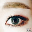 샤인제이에이치 | [아리따움]아이섀도우/추천/모노아이즈/샤인픽스아이즈 1+1/그레이스붐,뱀파이어키스,시나몬로즈 후기:)