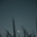 달한조각