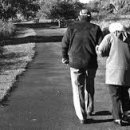 노인복지론 이미지