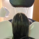 웰킨호텔 | 웰킨두피탈모센터 분당 야탑 성남 판교 추천