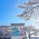 삼성영어차수학학원 네이버블로그