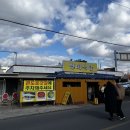 서림식당 | 제주도 순살갈치조림 번네식당 주말웨이팅후기 / 카페 산방서림