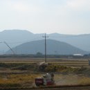 강화꽃게집 이미지