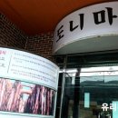 도니마니 이미지