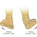 엔엘 휘트니스 이미지