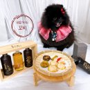 까까뭐멍냥 이미지