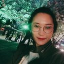 시청별관앞 꽃보라동산 이미지