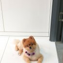 싹독할가영 이미지