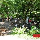 절물자연휴양림 이미지