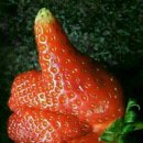 우리동네사진관 이미지