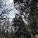 삼동 산1-4 | 장성 축령산, 영광 불갑산 최단코스 등반후기 및 1일 4산 최종 후기 (블랙야크 100대명산, 산불통제 no)