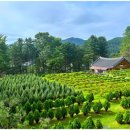 수종목장 이미지