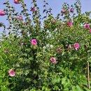 반월공원 이미지