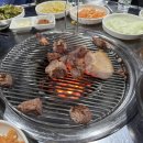 [돈사촌] 제주 동문시장 근처 연탄에 고기 구워주는 흑돼지 근고기 맛집
