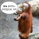 가자 이미지