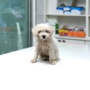 서이천로 이미지