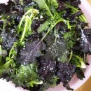 사인원 | 갓(芥菜)