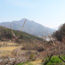 순조농장 티스토리