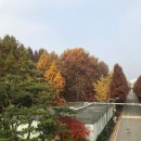인사이트 행정사사무소 | 인공지능 기반으로 분석한 지역별 관광 이동과 소비 유형 확인하세요