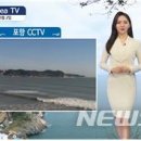 오늘의 바다 이미지