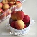 길상농원 | 루비에스 미니사과 솔직후기 | 한입사과로 딱! 맛있는 건강간식 추천