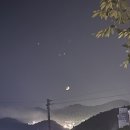 나이스카랜드