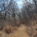 원수산 누리길 이미지