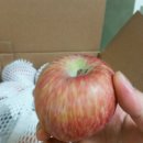 큰누나네집 이미지