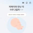동양구내식당 | 11주차 입덧 먹덧 체덧 임신 근황