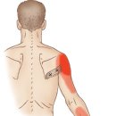 동방경희한의원 이미지