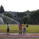 악양초등학교 이미지