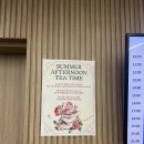 스크린 영어회화 | 여의도 영어회화학원 월스트리트 잉글리시ㅣ원어민 선생님들과의 여름 수업 후기