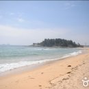 (주)성일카 이미지