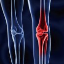 온플릭 휘트니스 이미지