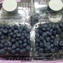 가화만사성농장 이미지