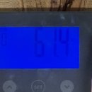 다이어트일기 푸드올로지 버닝올로지 디데이 내돈내산 솔직후기