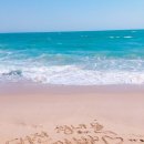 중앙메가프라자 이미지