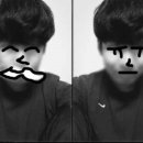 파마나라 Daum카페