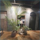 마음, 쉼 이미지