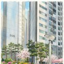 거제2차현대홈타운 | [연제구 거제동 아파트] 거제2차 현대홈타운 매매 가격 및 호가 시세 현황 (2026.05.05 현재)