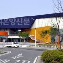 이순신빙상장체육관 빙상장 Daum카페