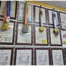 용인대가온태권도장 이미지