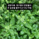동락원 - 안성시 죽주로 231 | 동락원