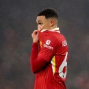 유스더식 이미지